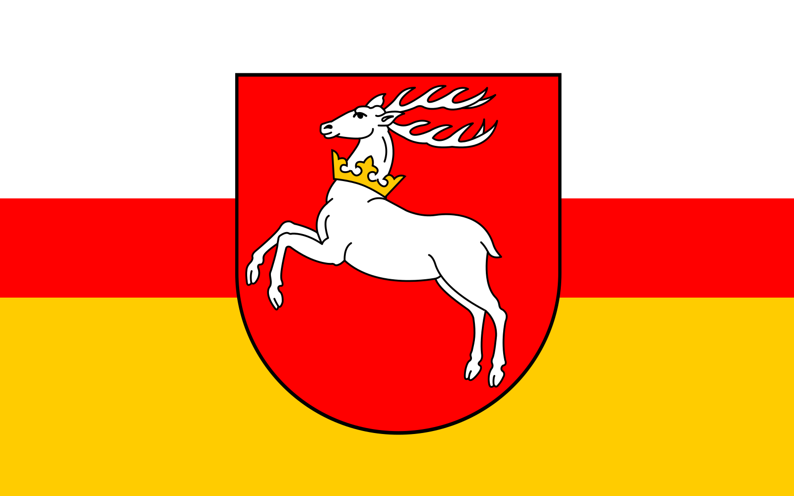 Vlajka lublinského vojvodství | vlajka, prapor, symbol, vlaječka, obrázek | Polská vojvodství |  1600x1000 px
