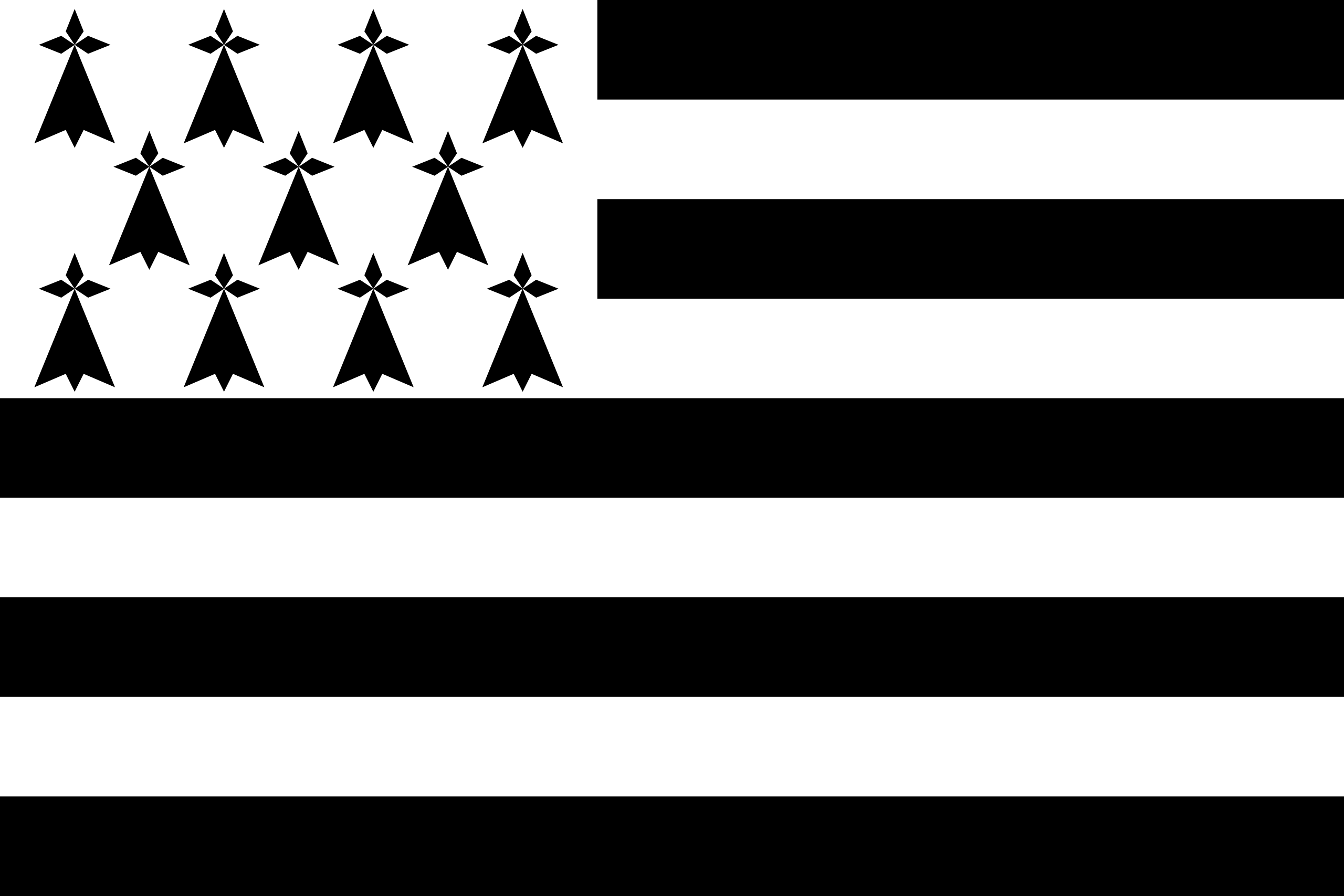Bretaňská vlajka | vlajka, prapor, symbol, vlaječka, obrázek | Regiony Francie |  2560x1707 px