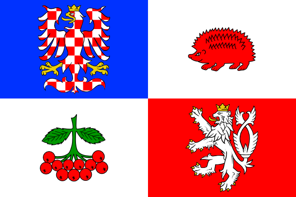 Vlajka kraje Vysočina | vlajka, symbol, prapor, vlaječka, obrázek | Vysočina | Kraje ČR